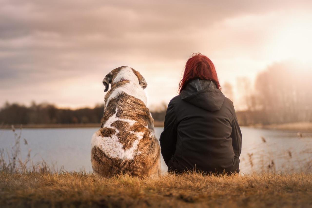 Mascotas Brais Pensionat San Miguel Reinante Exteriör bild